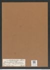 Aulacodiscus grunowii var. quamosus Pant. (de-Toni-Nr.: Genus 182, Species 4555) Zeichnungen Sammlung Grunow Mappe 04481 (Herbarium_W_Grunow_drawings_Folder_04481)